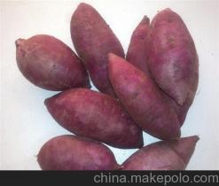 大理州紫薯种植基地销售厂家价格供应商详解——冠县乐农紫薯种植专业合作社