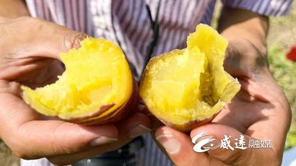 1元1斤！线上线下销售火！威远秋季美味火爆上市！