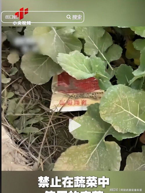 云南‘毒红薯’事件升级 调查组介入深挖产业链，商户‘主动投毒’背后的黑幕浮出水面