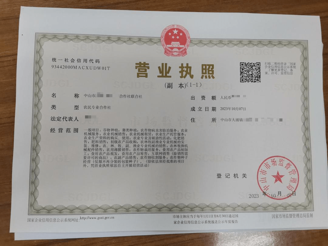 中山首批！大涌镇发出农民专业合作社联合社营业执照，薯类产业焕发新活力