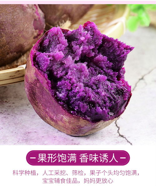 沙地小紫薯 香甜软糯，秋日里的自然馈赠